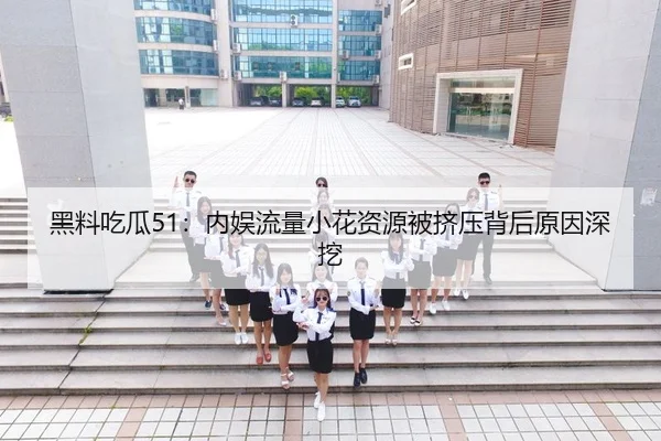 黑料吃瓜51：内娱流量小花资源被挤压背后原因深挖