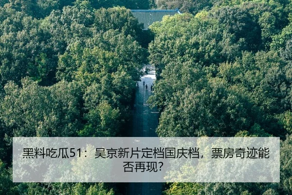 hei-liao-chi-gua-wu-jing-xin-pian-ding-dang-guo-qing-dang-piao-fang-qi-ji-neng-fou-zai-xian-2-784.jpg